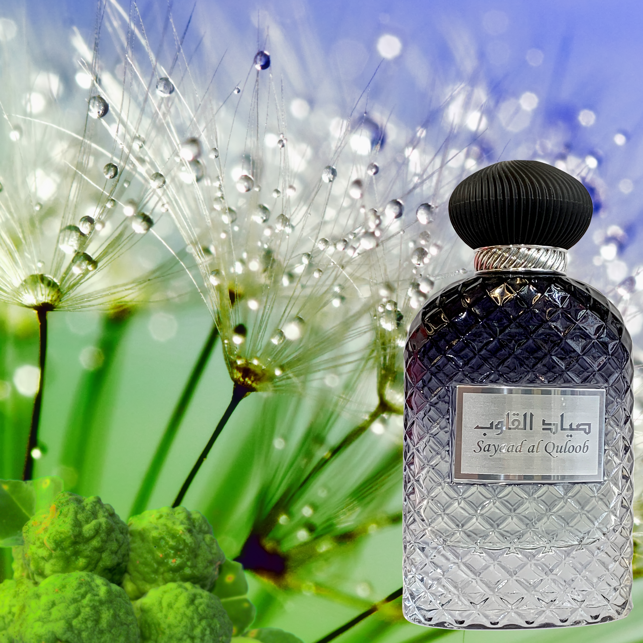 Parfüm Sayaad Al Quloob Eau de Parfum Spray Ard Al Zaafaran | Oriental-Style