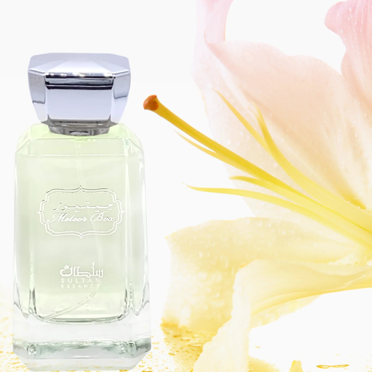 Meteor Eau de Parfum 100ml Sultan Essancy | Oriental-Style