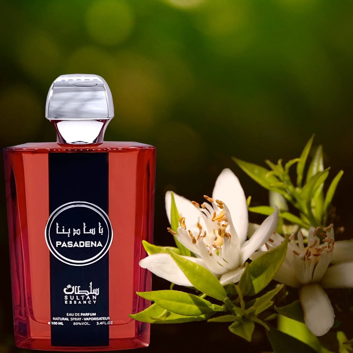 Pasadena Eau de Parfum 100ml Sultan Essancy | Oriental-Style