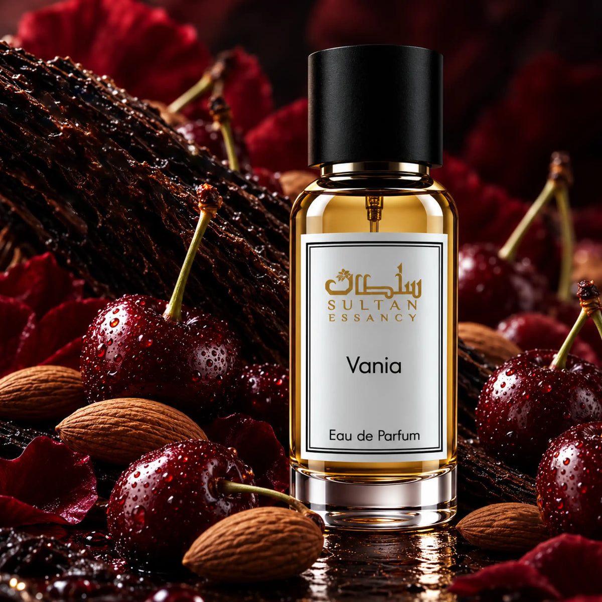 Vania von Sultan Essancy – Unisex Eau de Parfum zwischen dunklen Kirschen und ganzen Mandeln in einer burgunderroten Duftszene