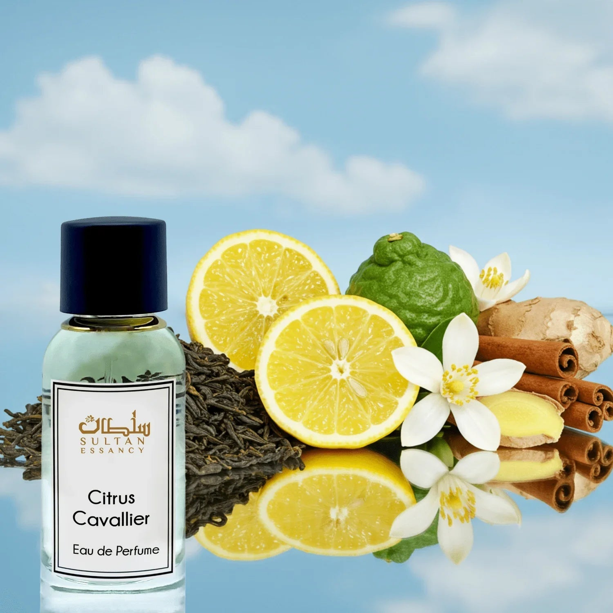 Parfüm Citrus Cavallier Eau de Parfum Spray Sultan Essancy | Oriental-Style