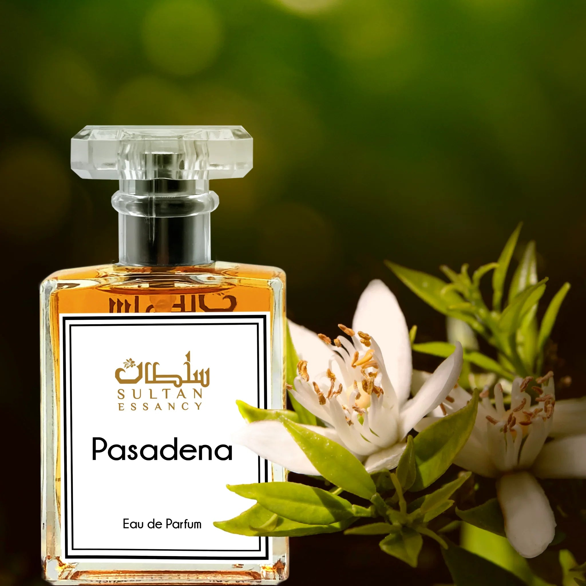 Parfüm Pasadena Eau de Parfum Spray Sultan Essancy | Oriental-Style