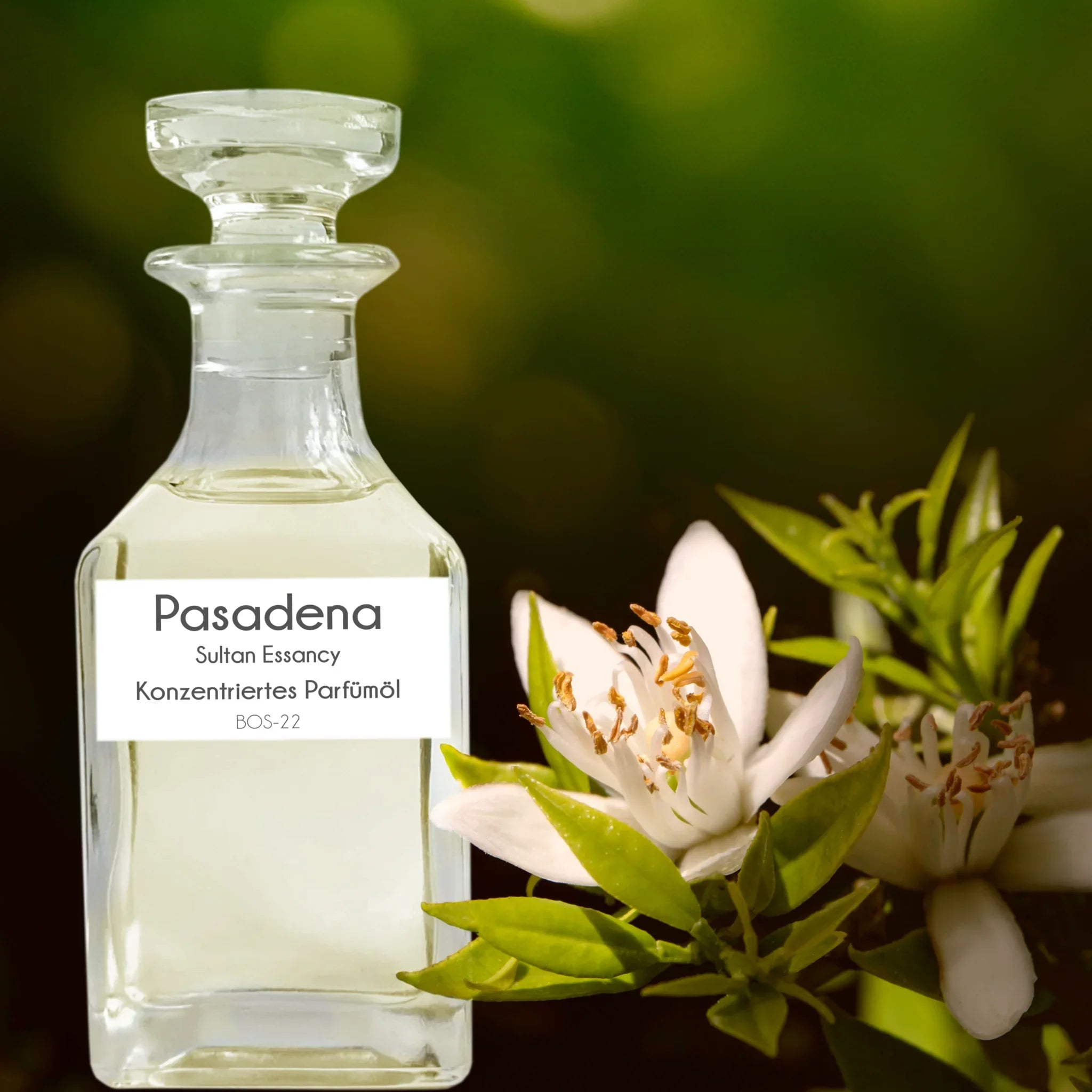 Parfümöl Pasadena von Sultan Essancy- Parfüm ohne Alkohol Sultan Essancy | Oriental-Style