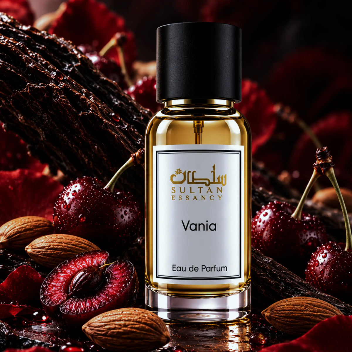 Vania von Sultan Essancy – Unisex Eau de Parfum zwischen dunklen Kirschen und ganzen Mandeln in einer burgunderroten Duftszene